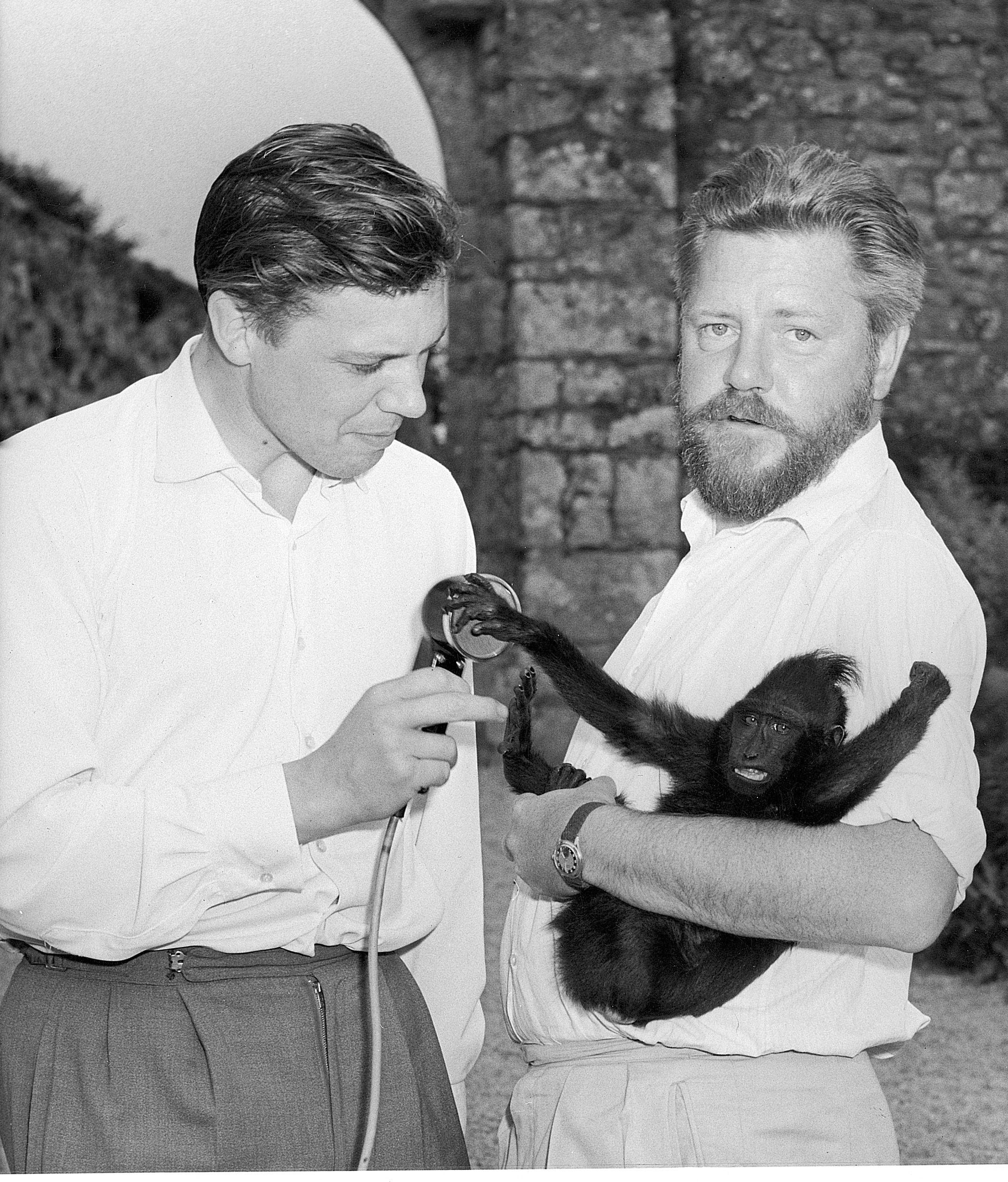 A GORILLA IN THE GUEST ROOM  CHARACTERIZATION  NPONGO NANDY  GERALD  DURRELL  iscenglish  YouTube