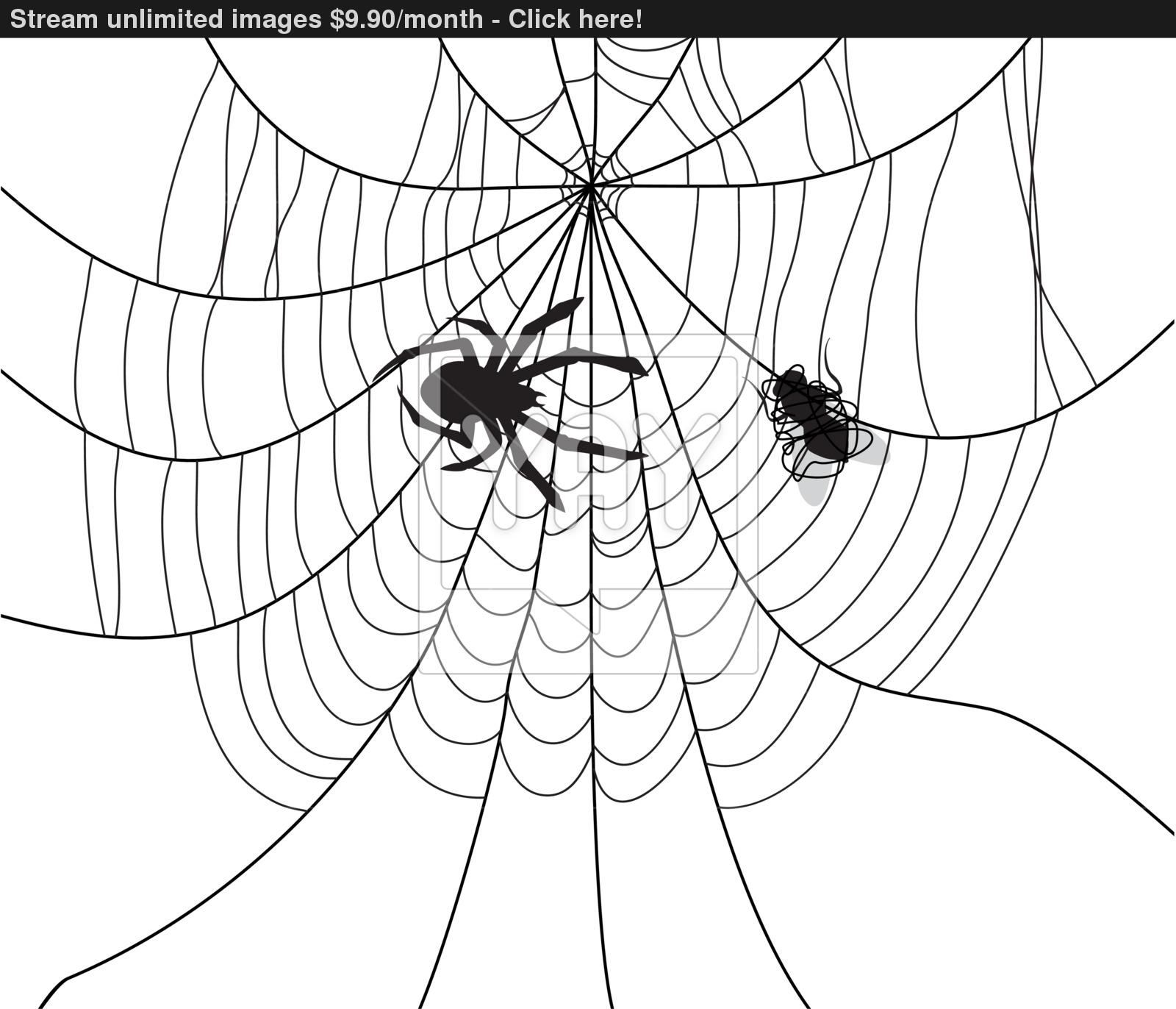 Паук на паутине вектор